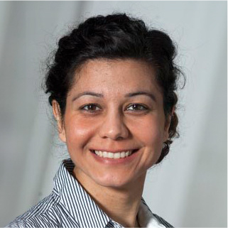Shirin Doroudgar
